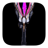 黑暗特利迦火花(先行版)