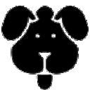 磁力狗最新版官网版